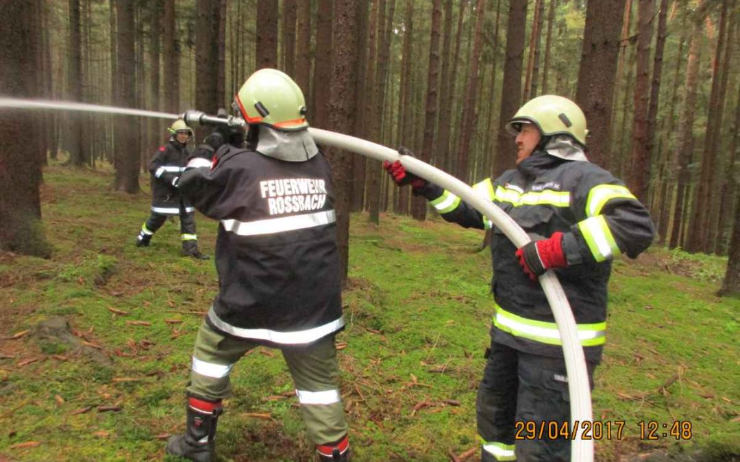 Großangelegte Waldbrandübung in Altheim